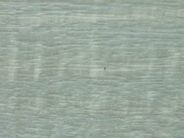 TOP TILE 2 塑膠地磚  TW3619