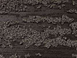 FINE 1000 壁紙  FE-8733