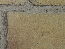 FINE 1000 壁紙  FE-8742