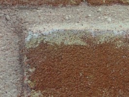 FINE 1000 壁紙  FE-8743