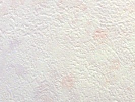 FINE 1000 壁紙  FE-8898