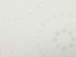 FINE 1000 壁紙  FE-8913