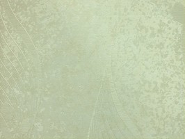 Paradise 壁紙  H36502