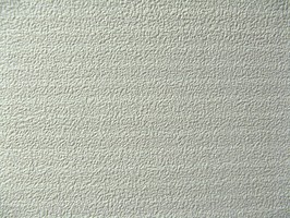 Ivy  68677