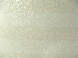 Ivy  68680