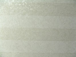 Ivy  68681