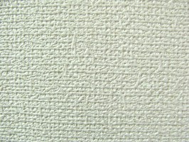 Ivy  68771