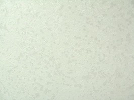Joy喜悅  88948