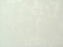 Joy喜悅  88955