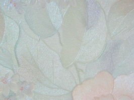 AA  45