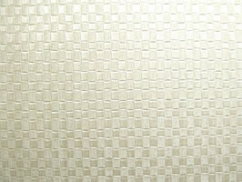 Monica莫妮卡  81-127