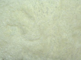 范登伯格 貝琪系列 地毯 L01 lvory