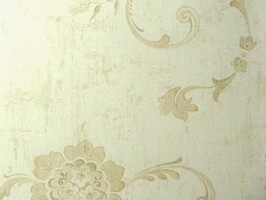 Angel 壁紙  41