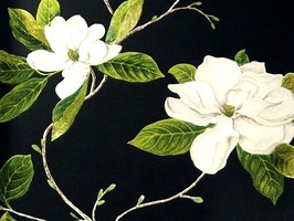 Flora 壁紙 899104-2