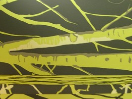 PT woodland 壁紙  1902-618