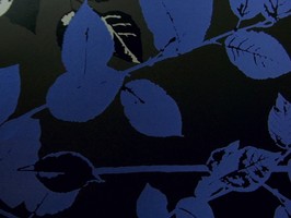 PT woodland 壁紙  1903-725