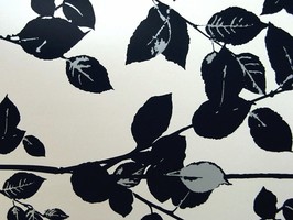 PT woodland 壁紙  1903-905