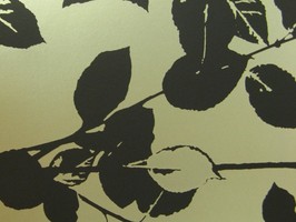 PT woodland 壁紙  1903-922