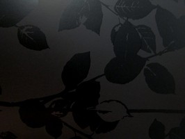 PT woodland 壁紙  1903-930