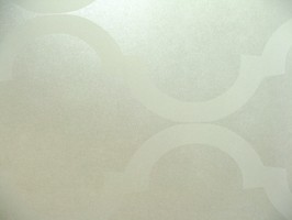 PT fusion 壁紙 1921-076-24