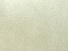 PT fusion 壁紙 1922-031-2