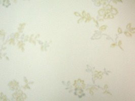 FITON4 壁紙  37-835
