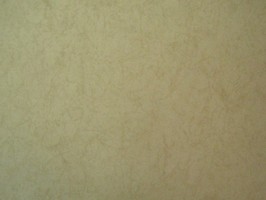 FITON4 壁紙  57-852
