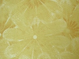 歐樺OLEUM 壁紙  32-88222