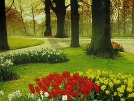 Photowall 風景壁紙  4057