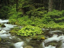 Photowall 風景壁紙  4094