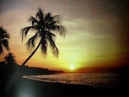 Photowall 風景壁紙  8028