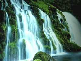 Photowall 風景壁紙  8030