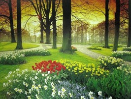 Photowall 風景壁紙  8057