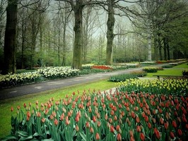Photowall 風景壁紙  8064