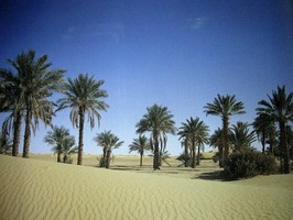 Photowall 風景壁紙  8068