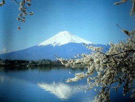 Photowall 風景壁紙  8075