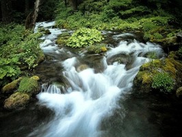 Photowall 風景壁紙  8076