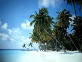 Photowall 風景壁紙  8079