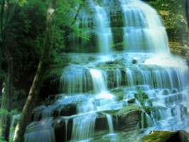 Photowall 風景壁紙  8080