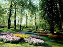 Photowall 風景壁紙  8085
