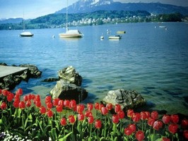 Photowall 風景壁紙  8087