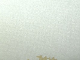 VOGUE 暗香 壁紙  p049-070103