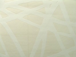 INSPIRE 壁紙  p038-45462