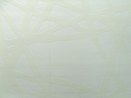 INSPIRE 壁紙  p045-45460