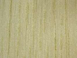 TREASURE 壁紙  55-EL-1304