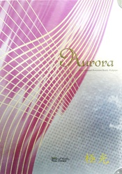 Aurora 極光 壁紙