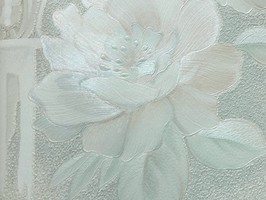 山克拉SaKuRa 壁紙  36878