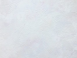 山克拉SaKuRa 壁紙  71154