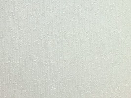 山克拉SaKuRa 壁紙  71163