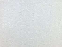 山克拉SaKuRa 壁紙  71224